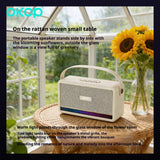 Portable Wireless Bluetooth 5.4 Speaker with RGB Ambient Light, Carry Handle, FM Radio, TF Card, AUX and Solar Charging